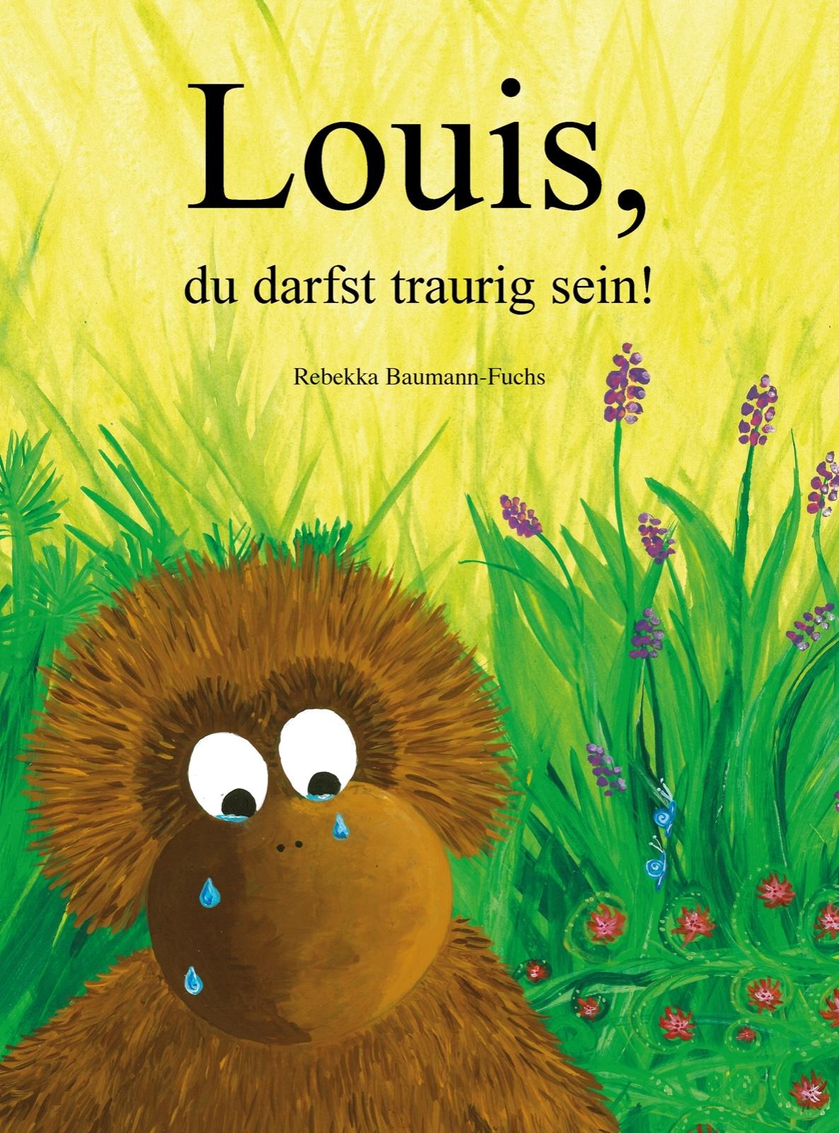 Vorderes Coverbild Louis, du darfst traurig sein!