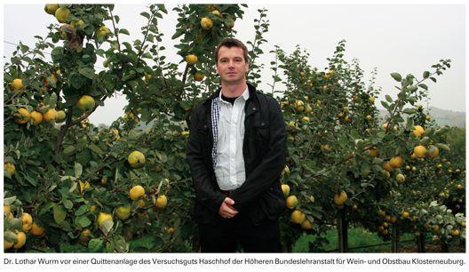 Beispielinhalt (Bild) Obst natürlich anbauen