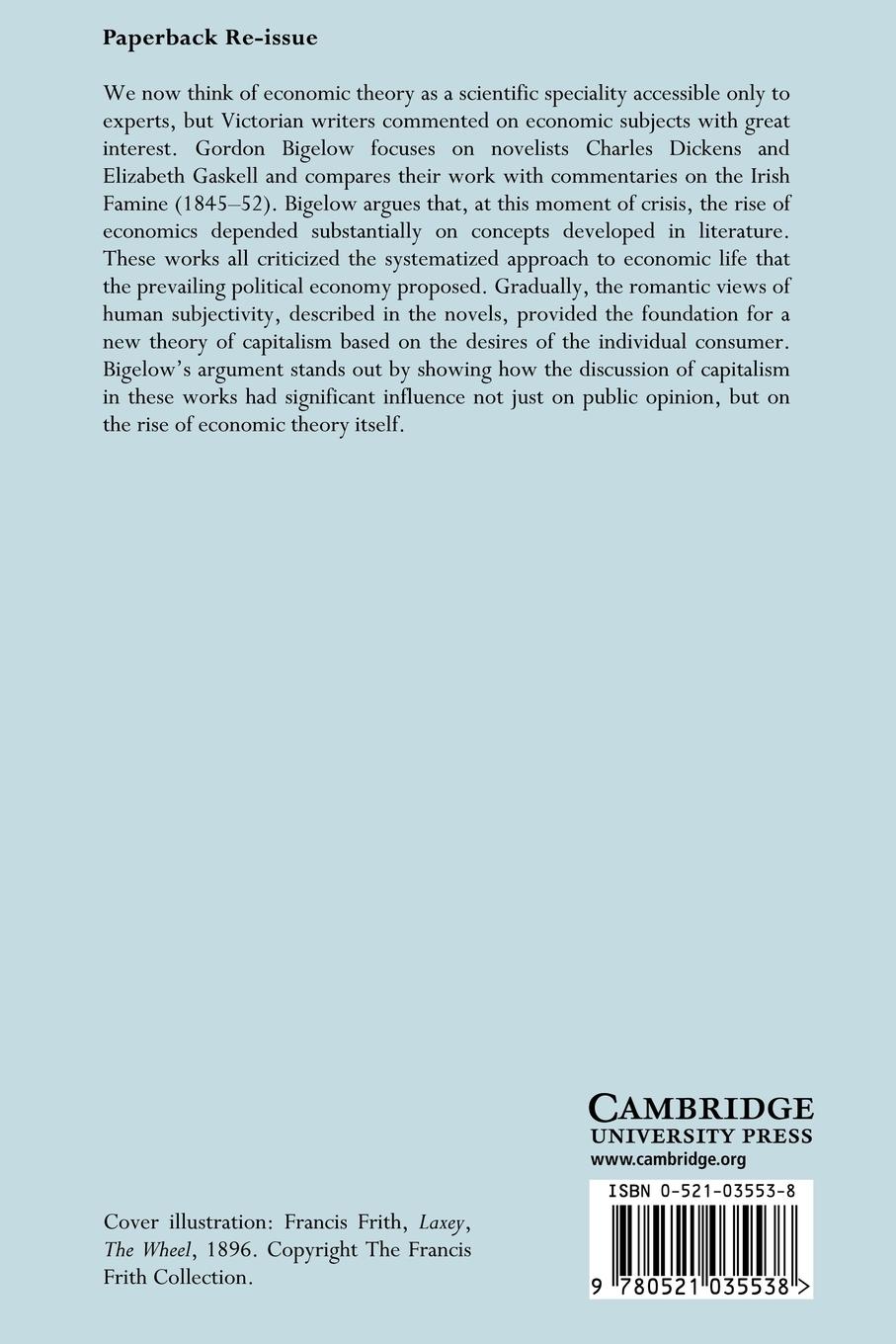 Rückseitencover Fiction, Famine, and the Rise of Economics in Victorian Britain and Ireland
