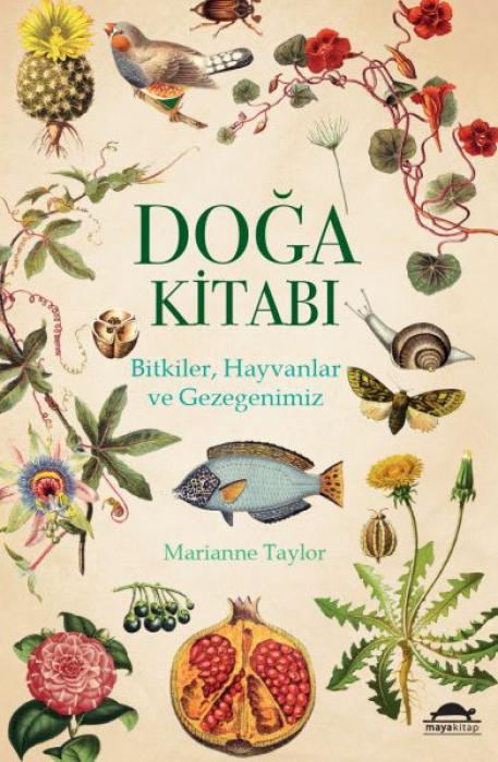 Vorderes Coverbild Doga Kitabi