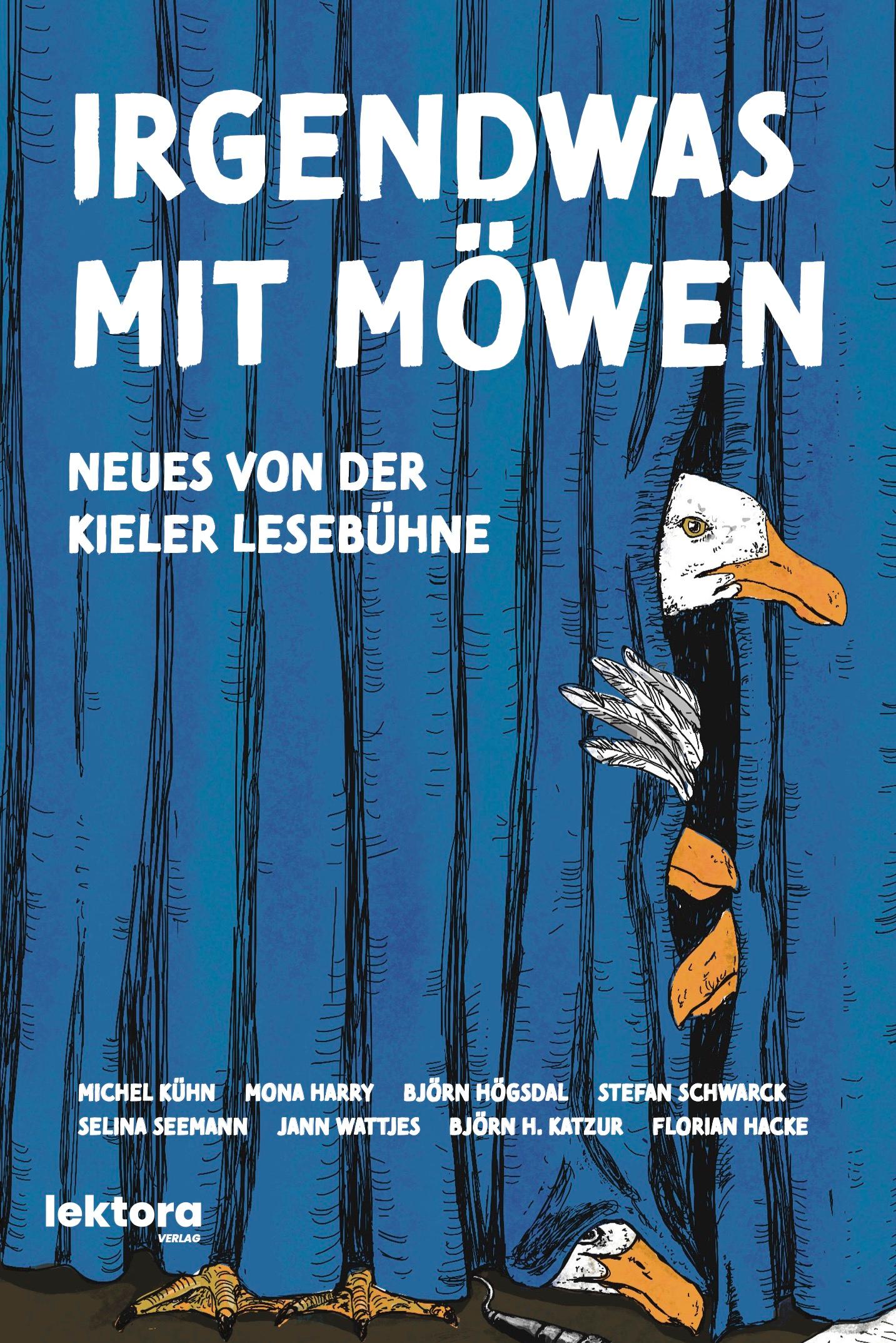 Vorderes Coverbild Irgendwas mit Möwen