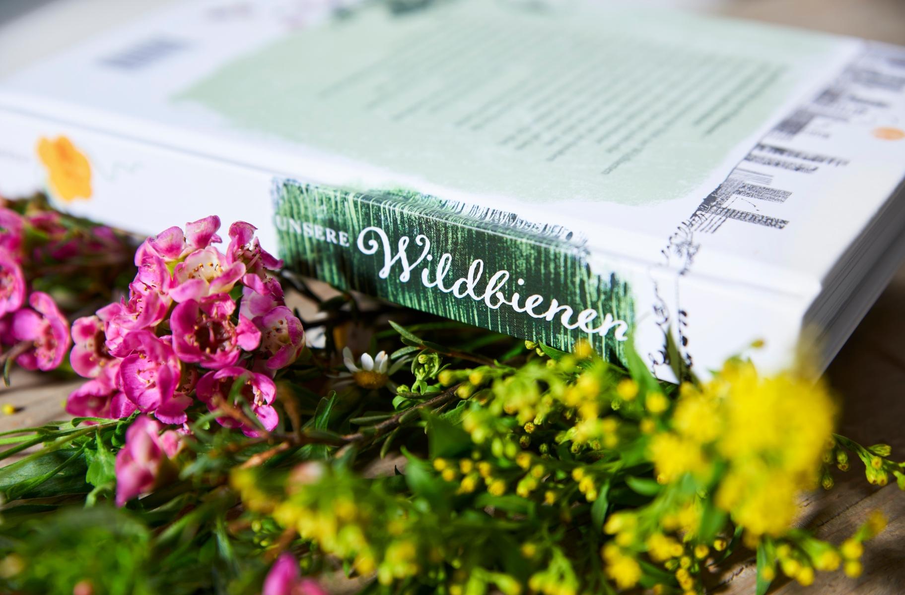 Beispielinhalt (Bild) Unsere Wildbienen