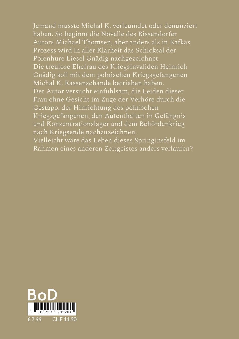 Rückseitencover Die Frau ohne Gesicht