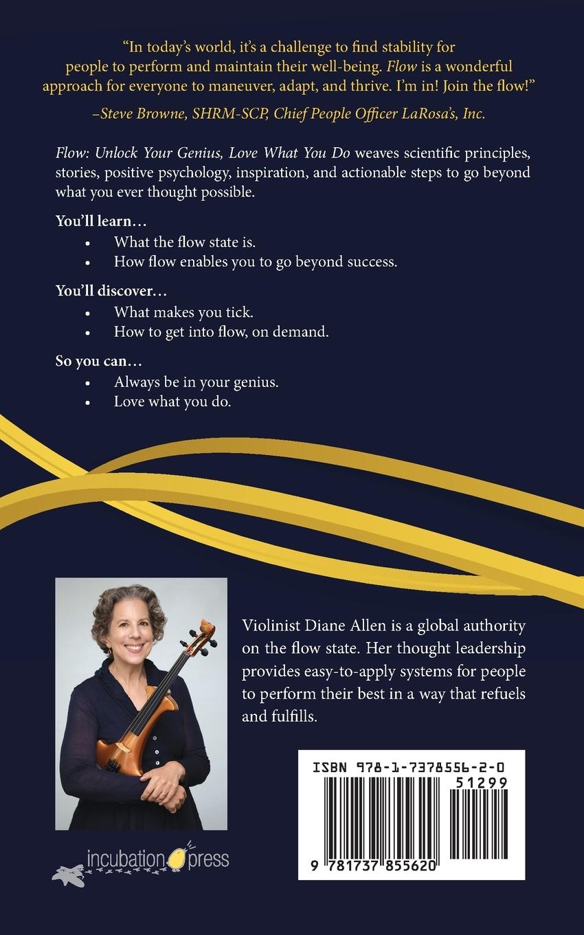 Rückseitencover Flow