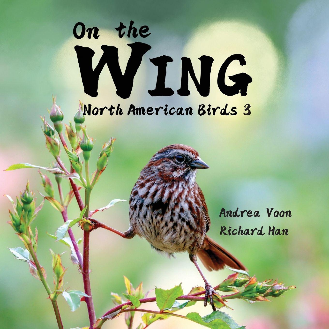 Vorderes Coverbild On the Wing - North American Birds 3