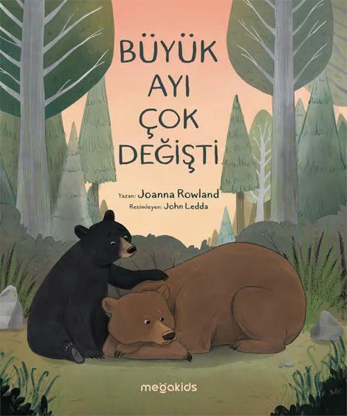 Vorderes Coverbild Büyük Ayi Cok Degisti
