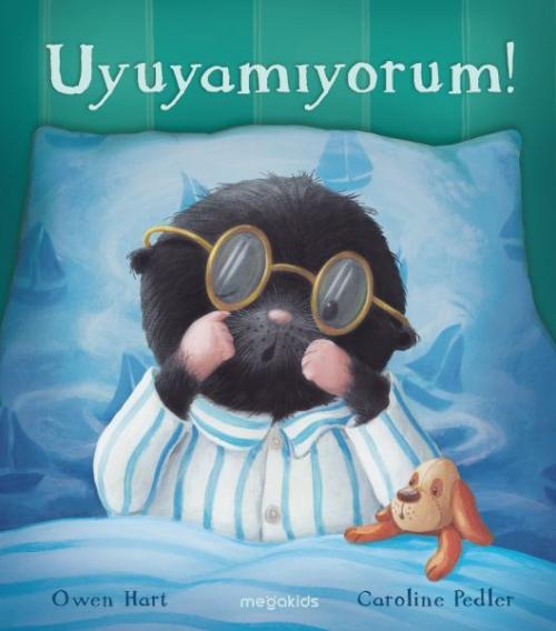 Vorderes Coverbild Uyuyamiyorum