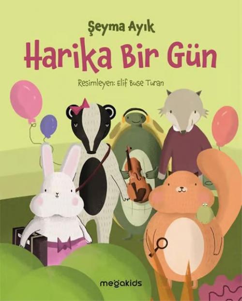 Vorderes Coverbild Harika Bir Gün
