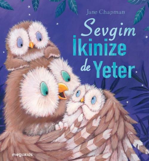 Vorderes Coverbild Sevgim Ikinize de Yeter