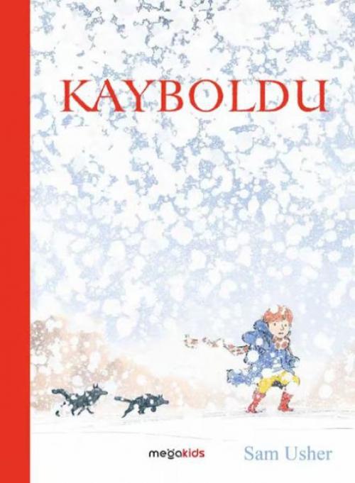 Vorderes Coverbild Kayboldu