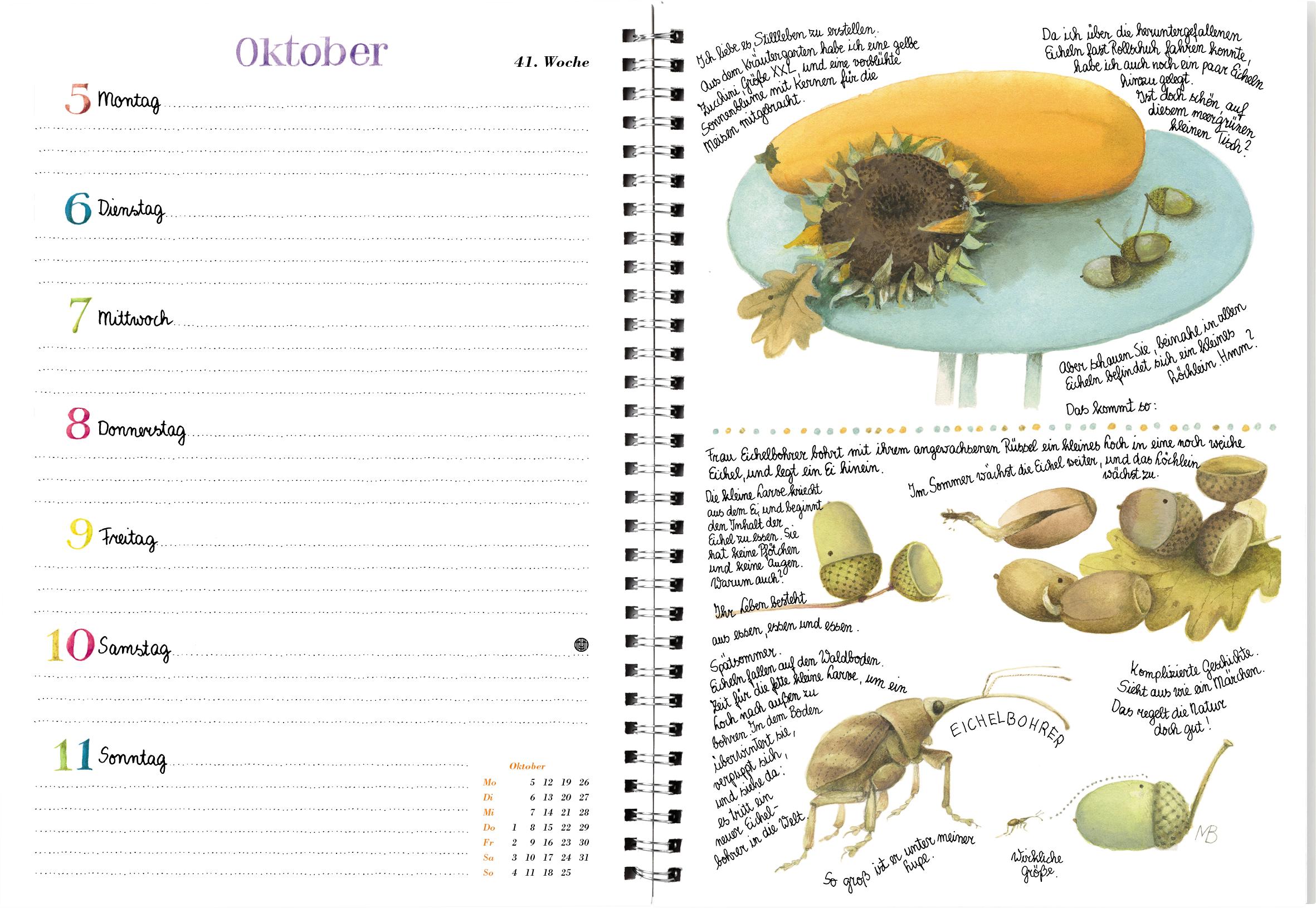Beispielinhalt (Bild) Naturkalender 2026