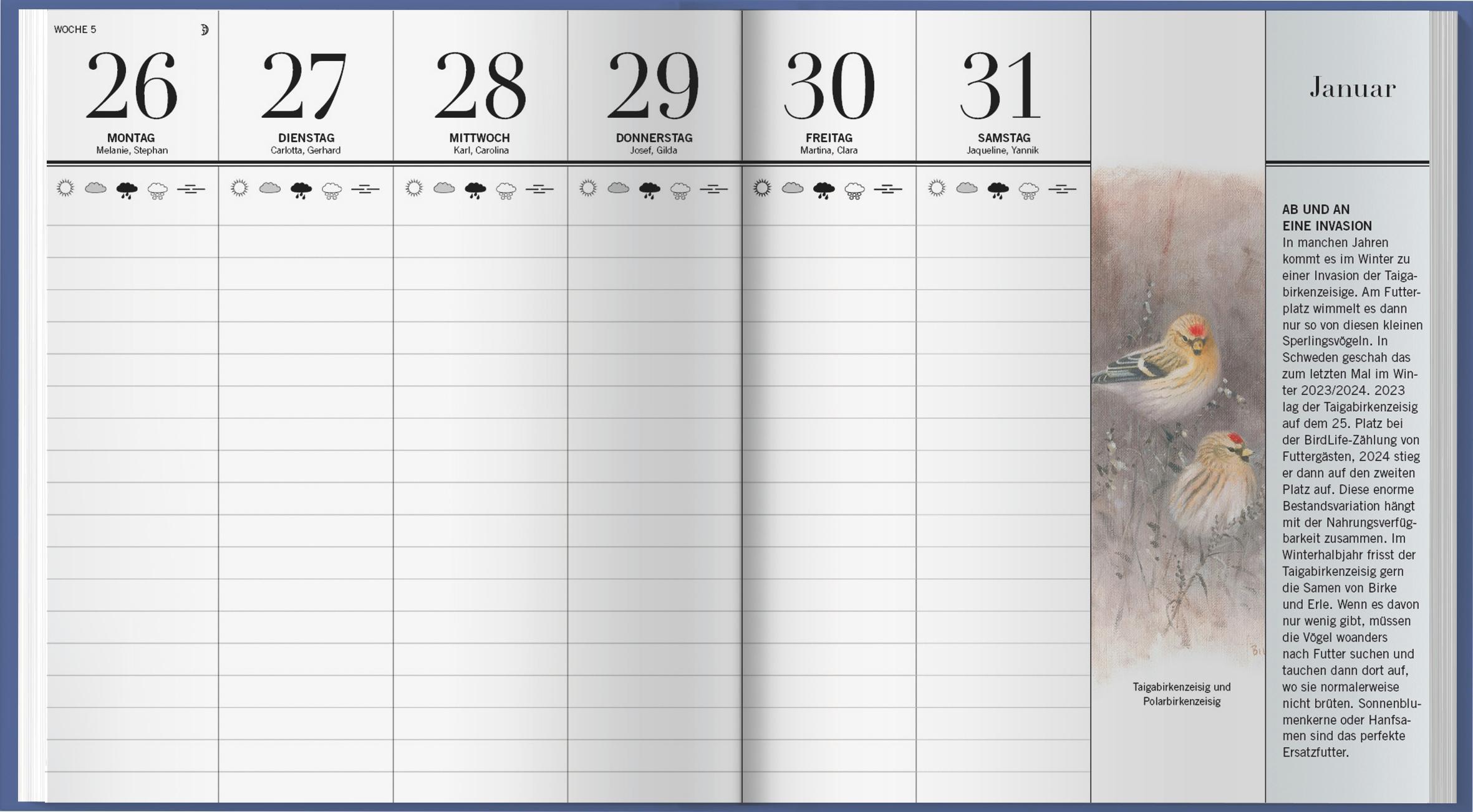 Beispielinhalt (Bild) Der illustrierte Vogelkalender 2026