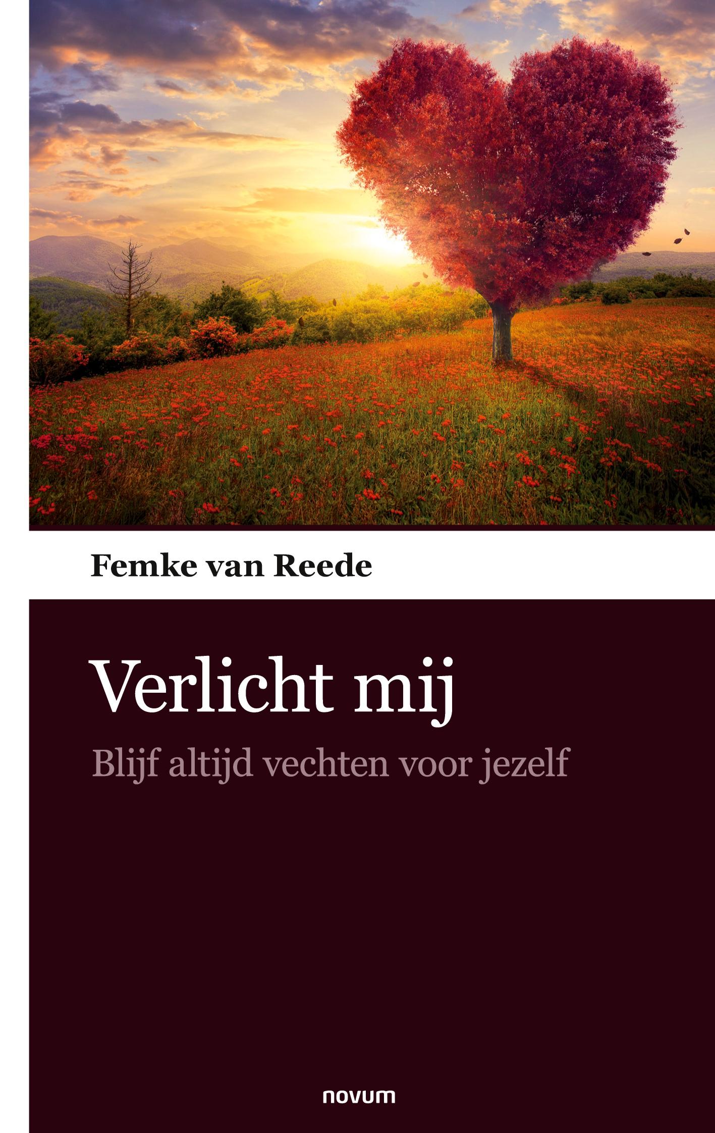 Vorderes Coverbild Verlicht mij