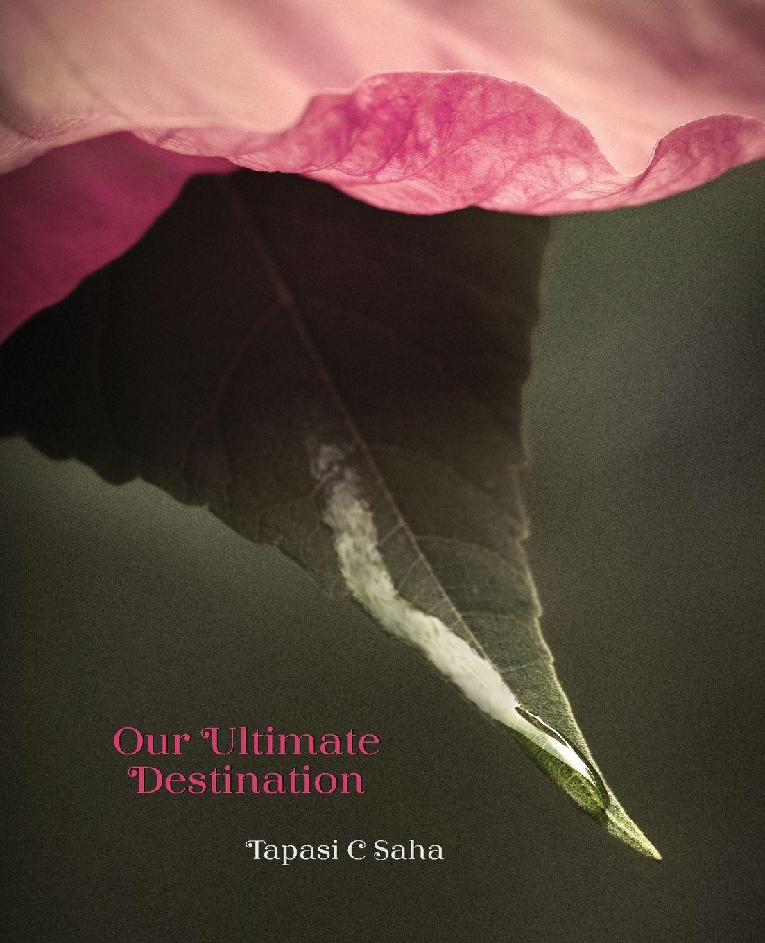 Vorderes Coverbild Our Ultimate Destination Paperback