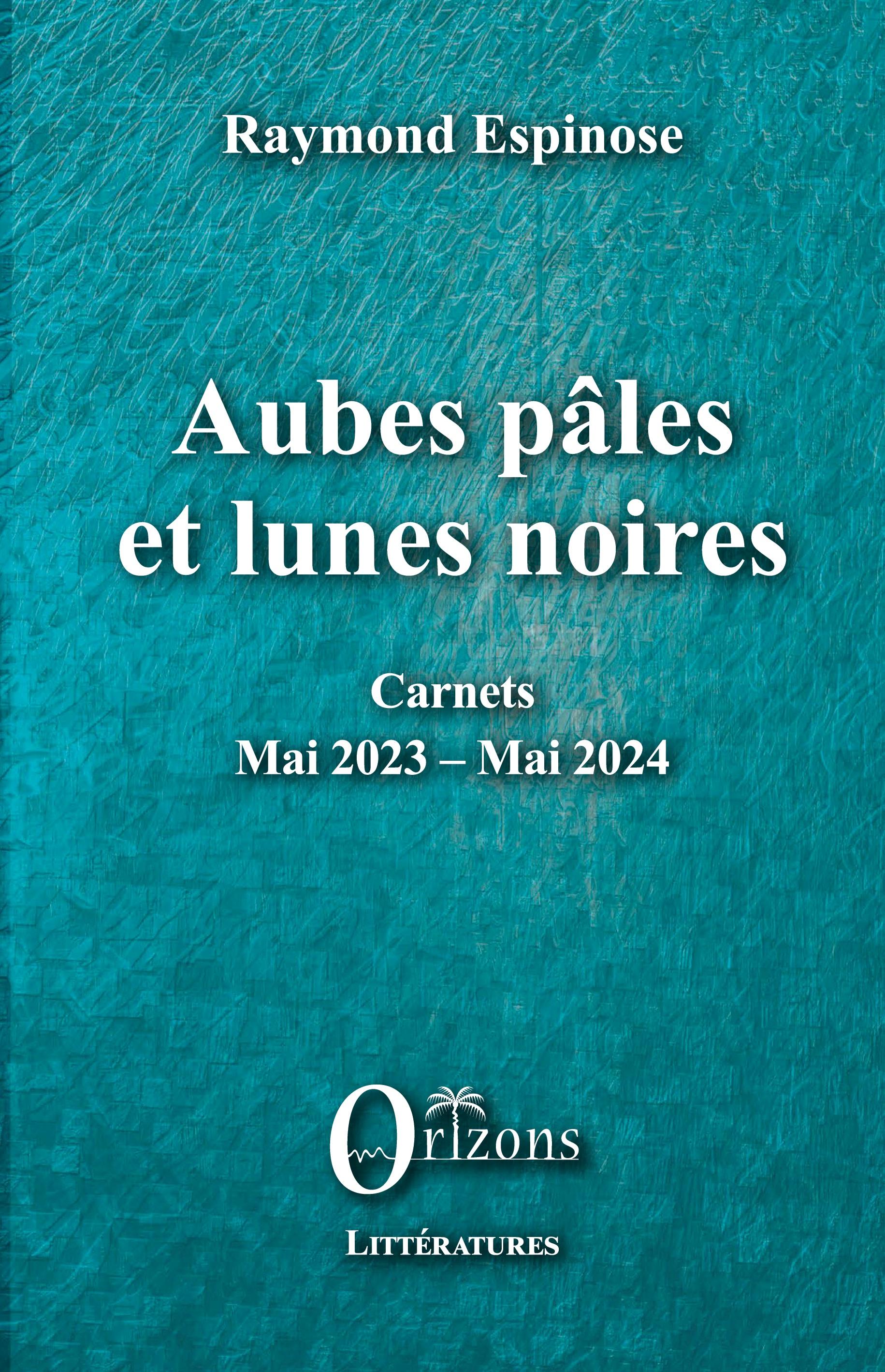 Vorderes Coverbild Aubes pâles et lunes noires