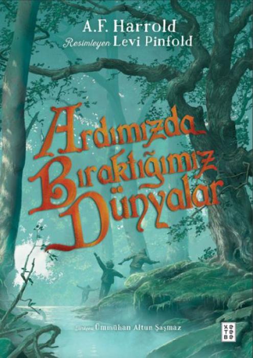 Vorderes Coverbild Ardimizda Biraktigimiz Dünyalar