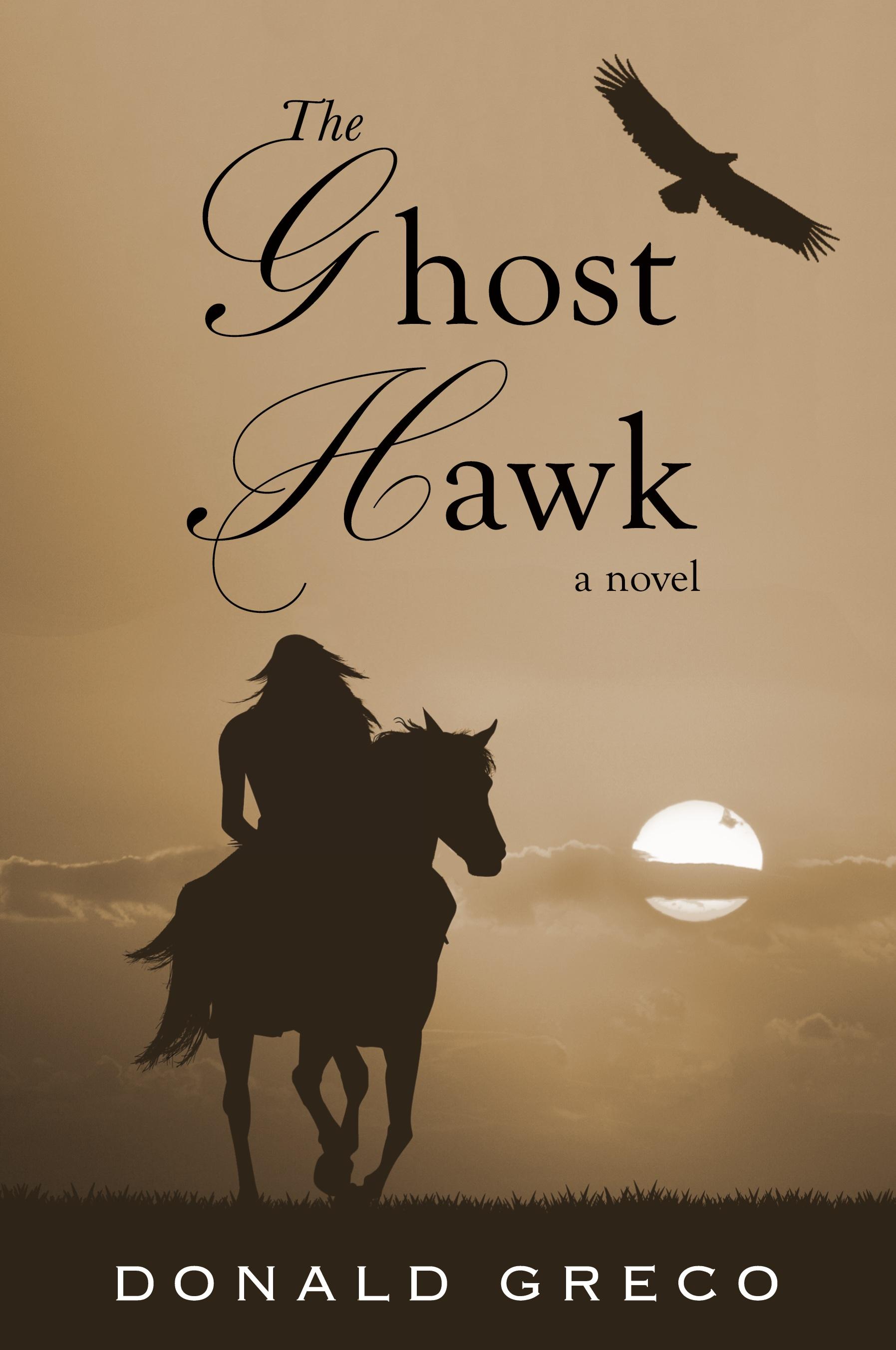 Vorderes Coverbild The Ghost Hawk