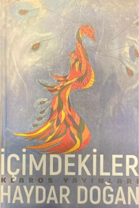Vorderes Coverbild Icimdekiler