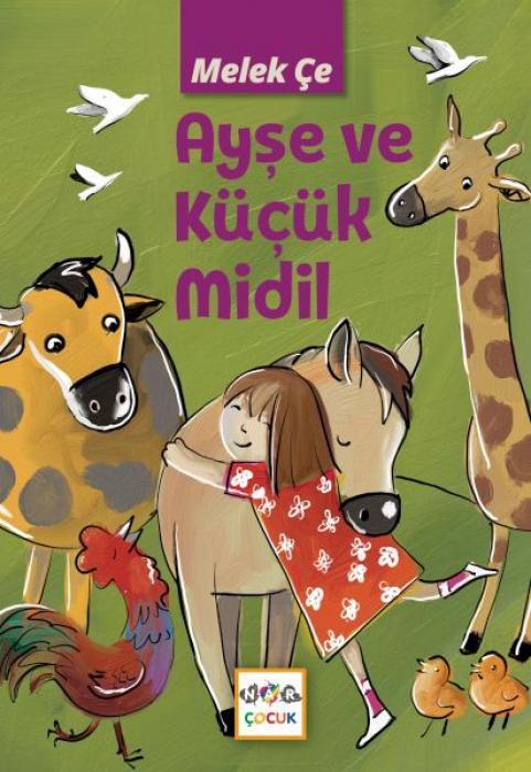Vorderes Coverbild Ayse ve Kücük Midil
