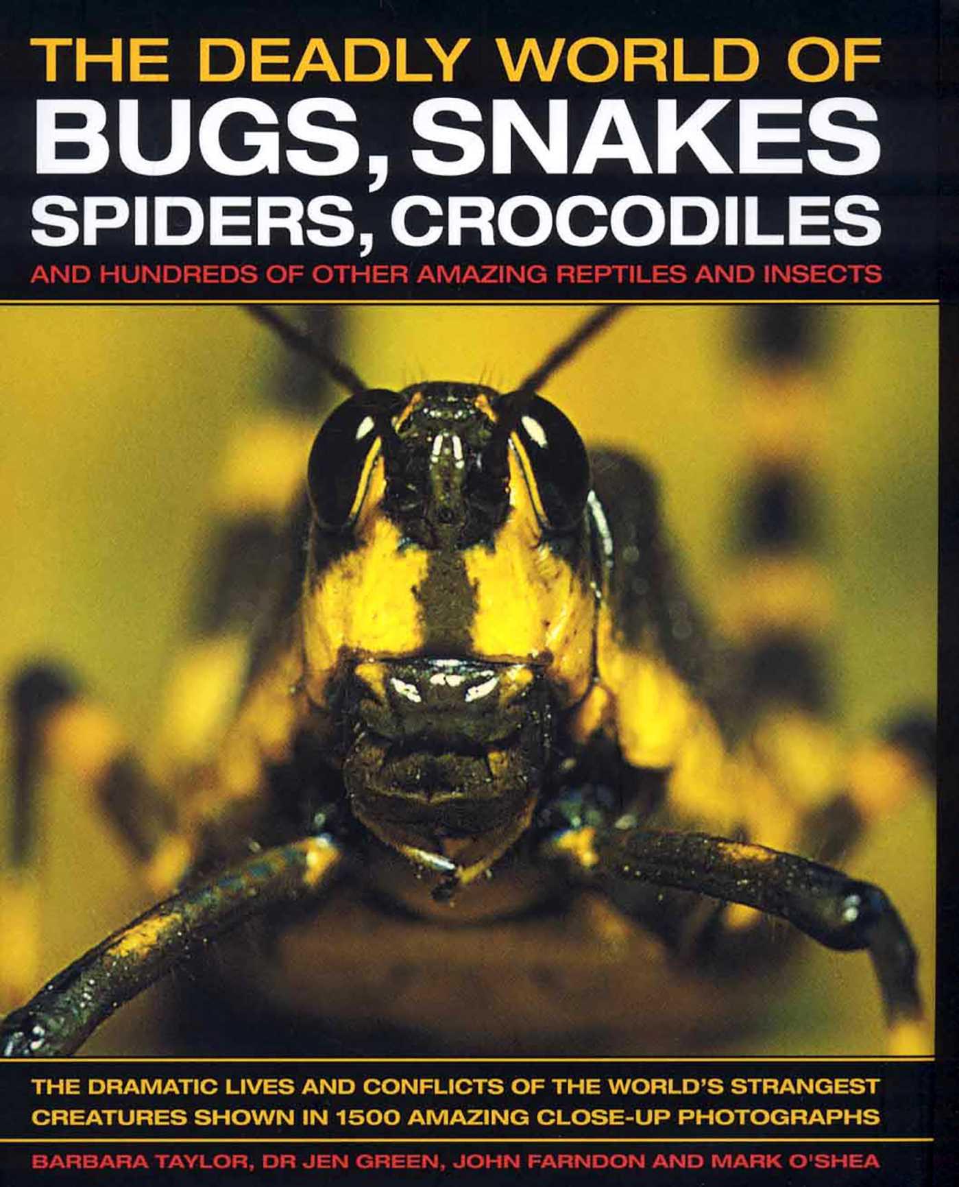 Vorderes Coverbild The Deadly World of Bugs, Snakes, Spiders, Crocodiles