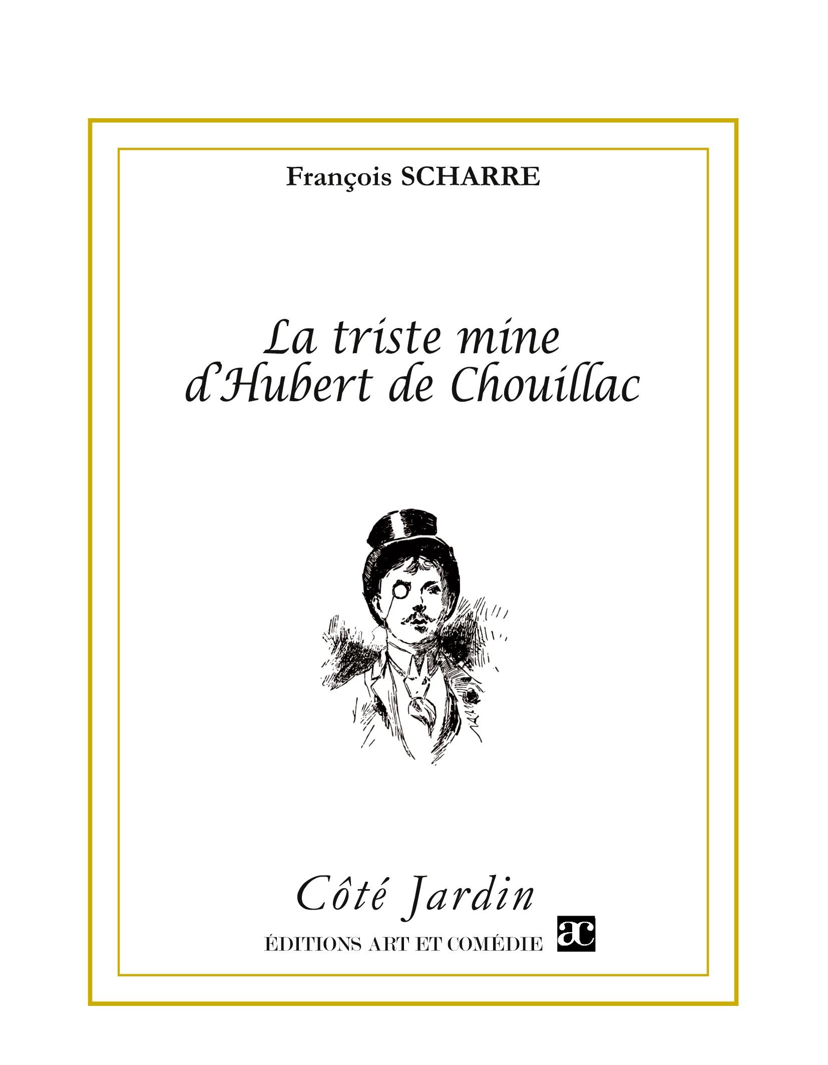 Vorderes Coverbild La triste mine d'Hubert de Chouillac