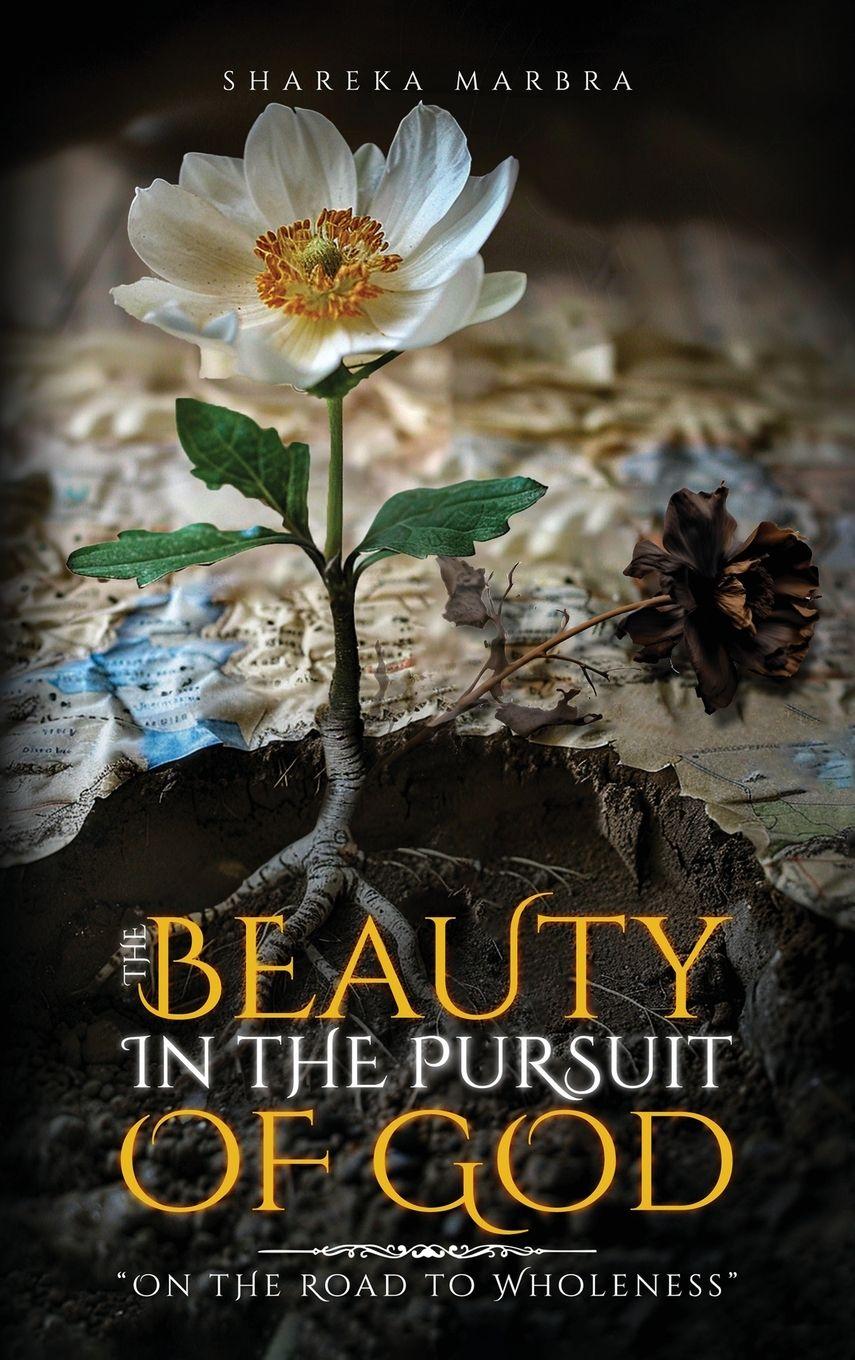 Vorderes Coverbild The Beauty in the Pursuit of God