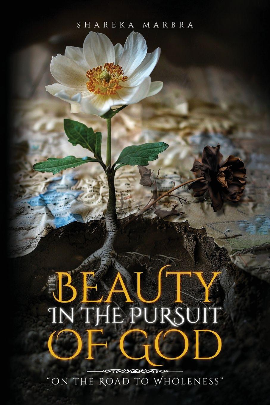 Vorderes Coverbild The Beauty in the Pursuit of God