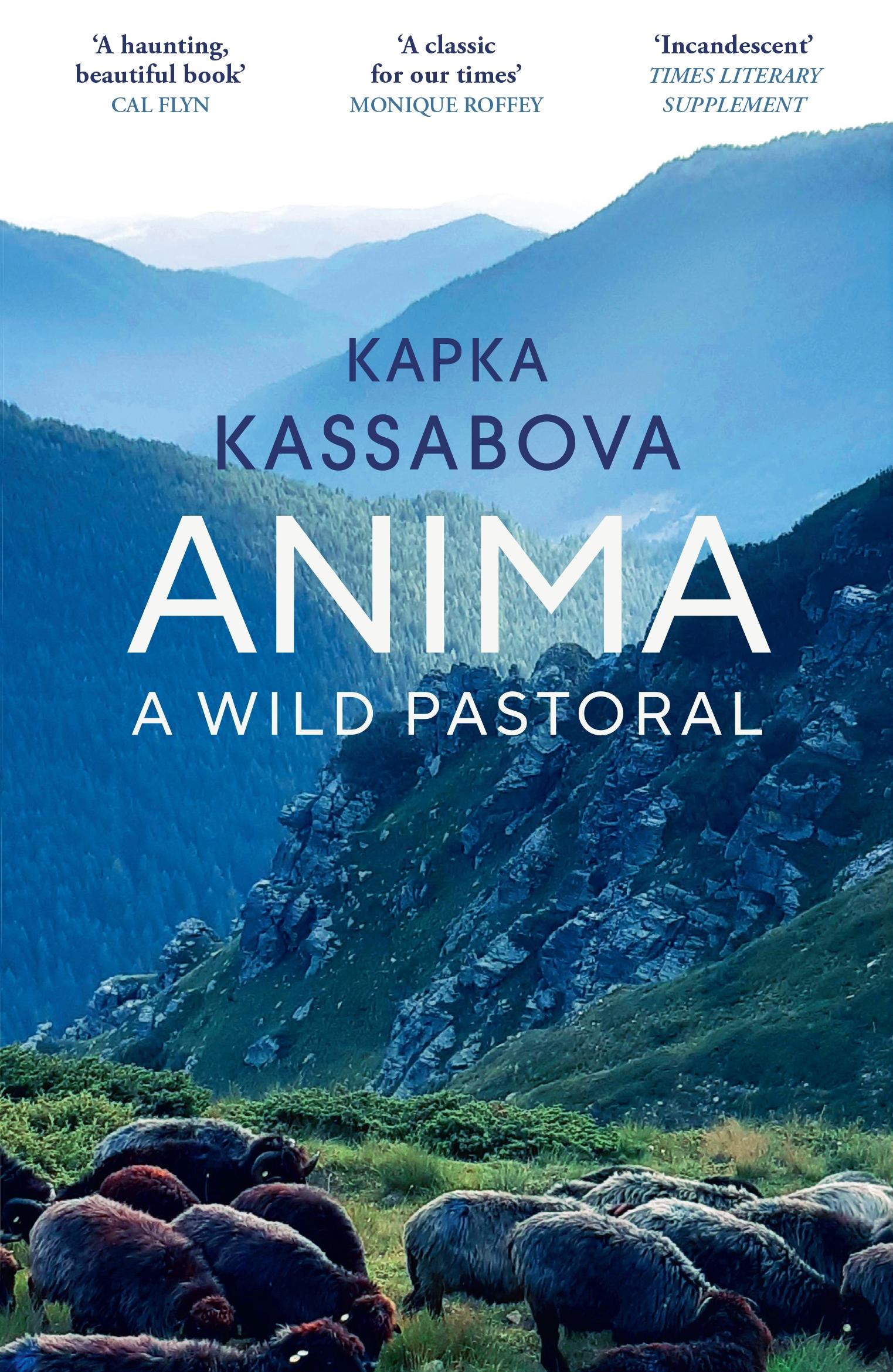 Vorderes Coverbild Anima