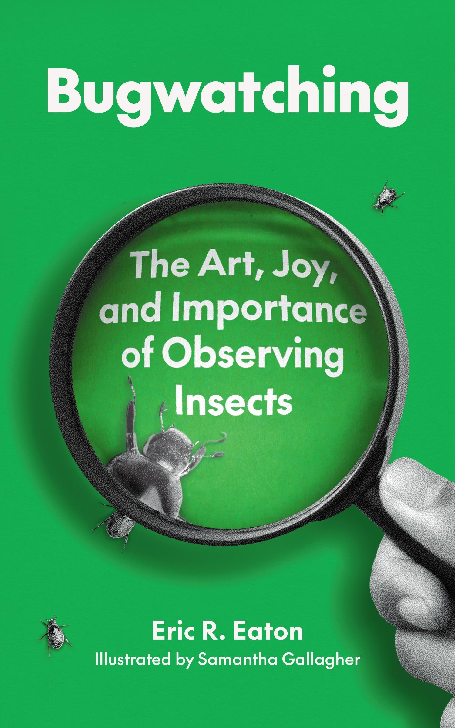 Vorderes Coverbild Bugwatching