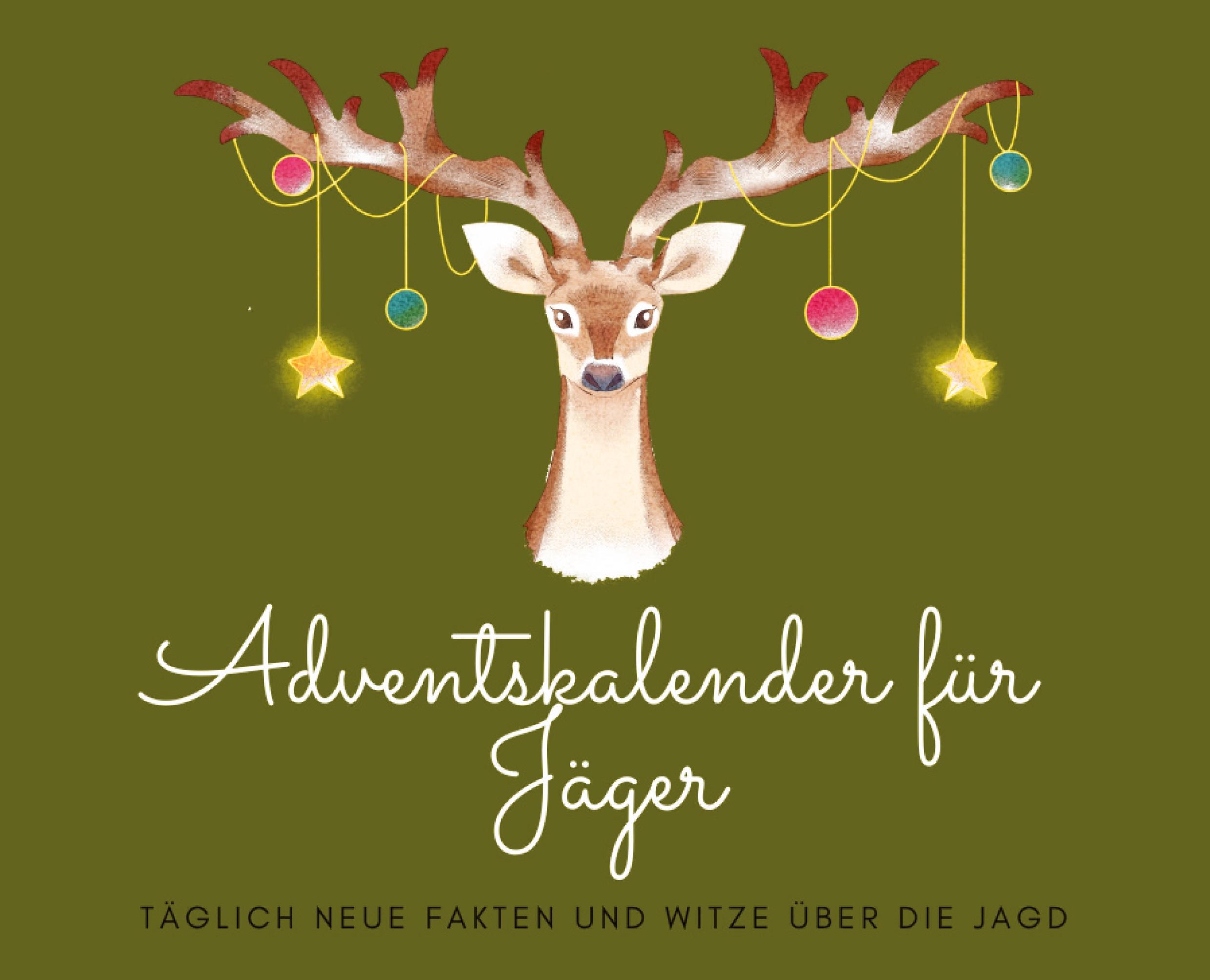 Vorderes Coverbild Adventskalender für Jäger