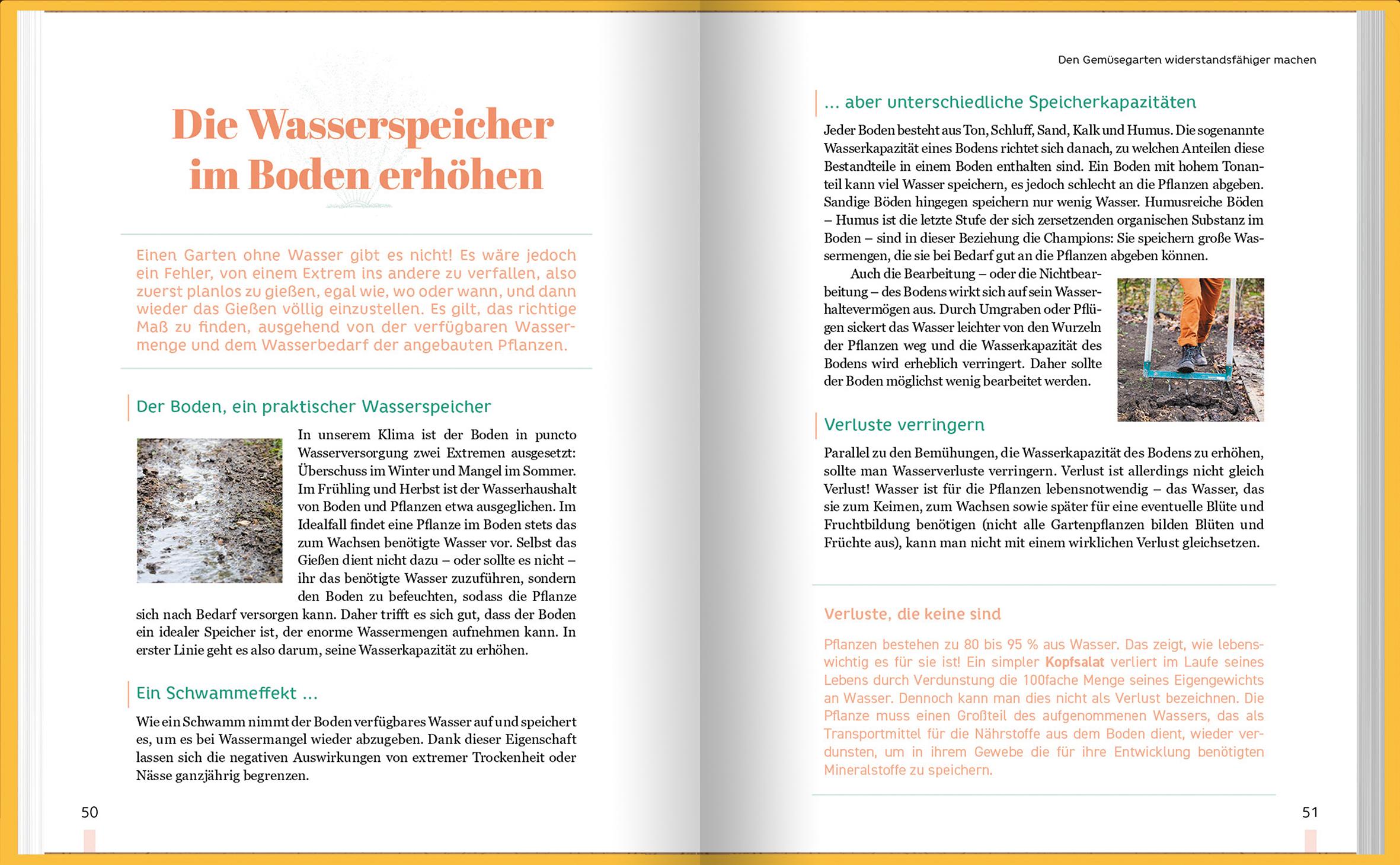 Beispielinhalt (Bild) Erntewunder trotz Wetterchaos