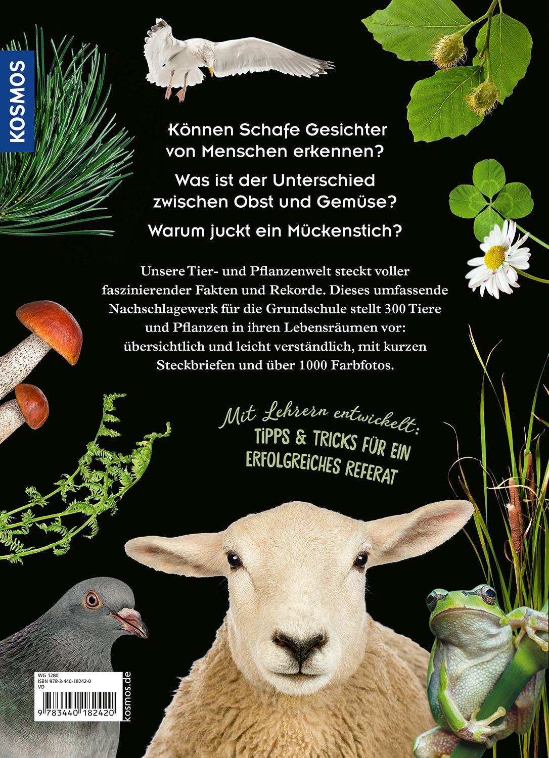 Beispielinhalt (Bild) Mein Kosmos Grundschullexikon Tiere & Pflanzen