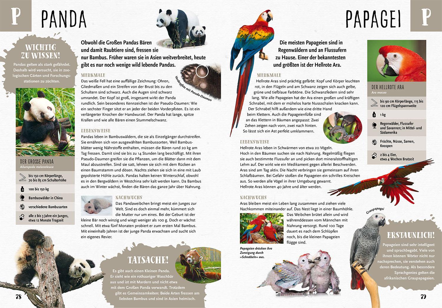 Beispielinhalt (Bild) Mein Kosmos Grundschullexikon Tiere & Pflanzen