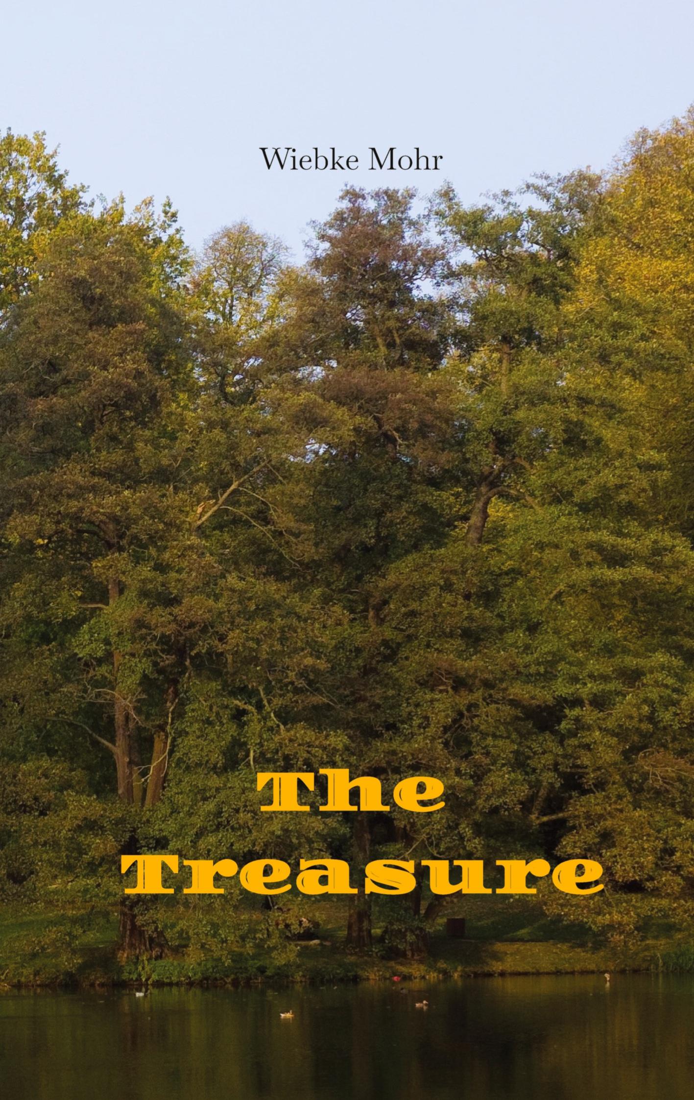 Vorderes Coverbild The Treasure