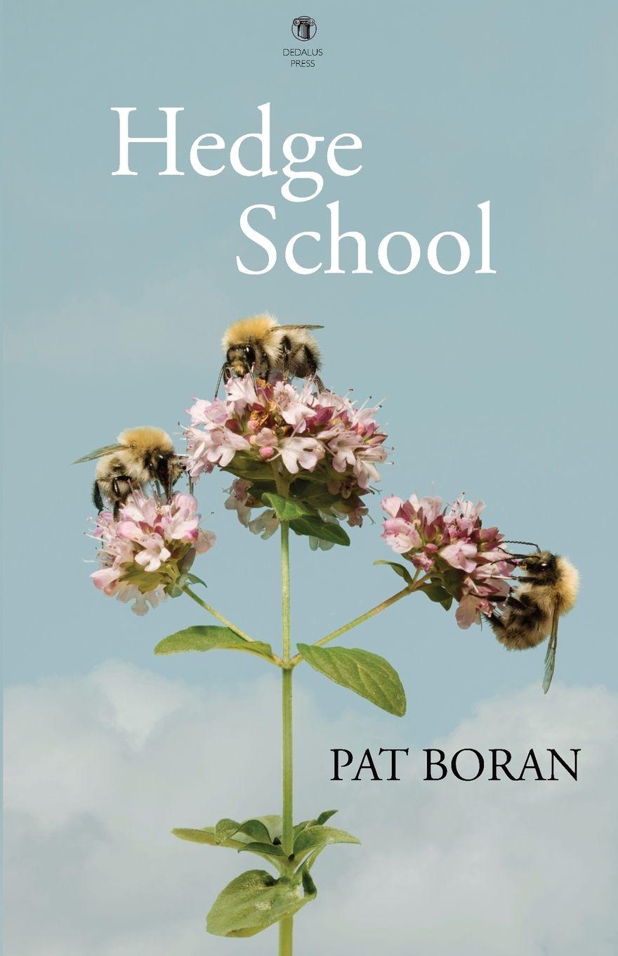 Vorderes Coverbild Hedge School