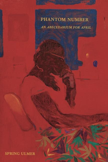 Vorderes Coverbild Phantom Number