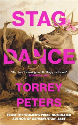 Vorderes Coverbild Stag Dance