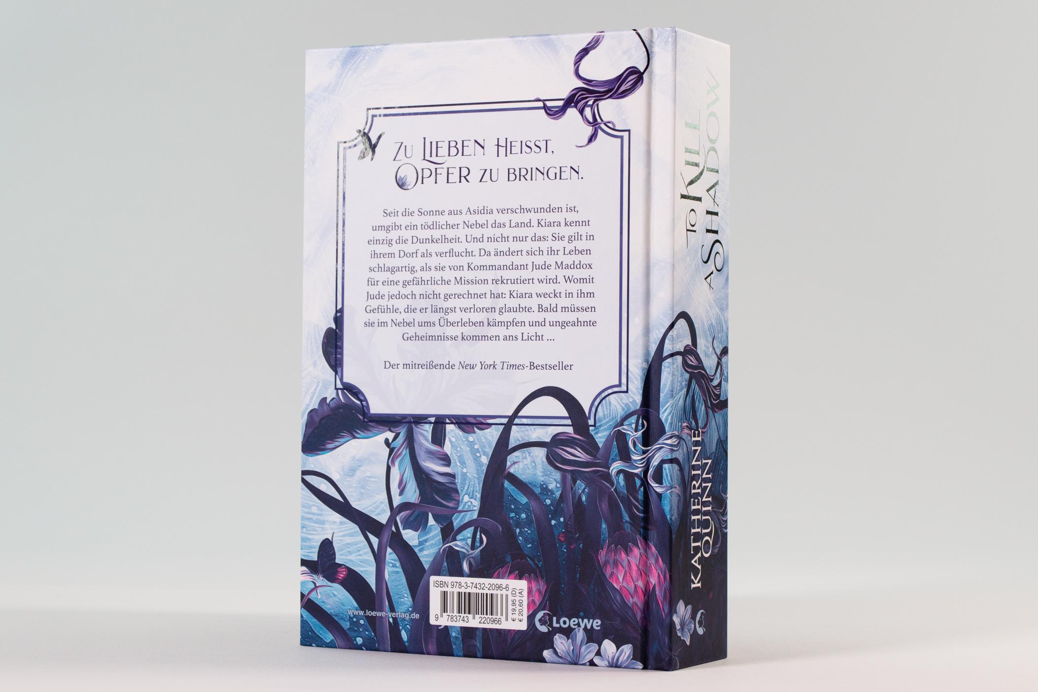 Beispielinhalt (Bild) To Kill A Shadow (Die verfluchten Lande, Band 1)