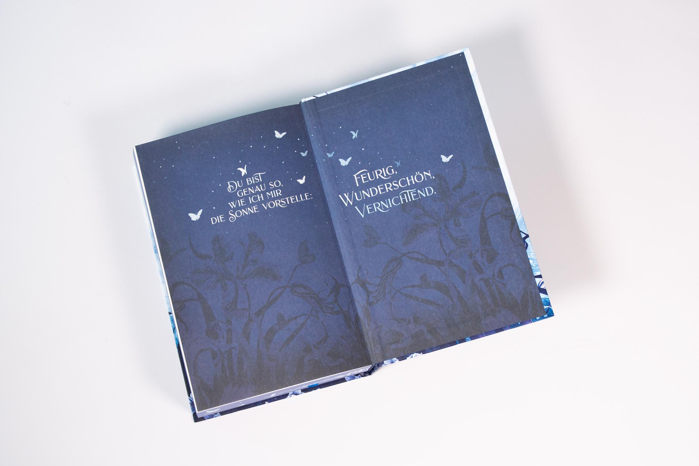 Beispielinhalt (Bild) To Kill A Shadow (Die verfluchten Lande, Band 1)