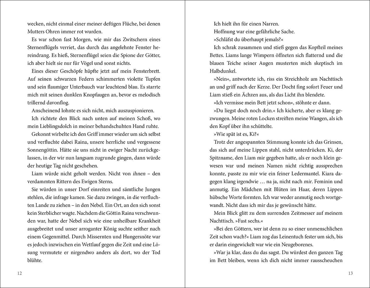 Beispielinhalt (Bild) To Kill A Shadow (Die verfluchten Lande, Band 1)