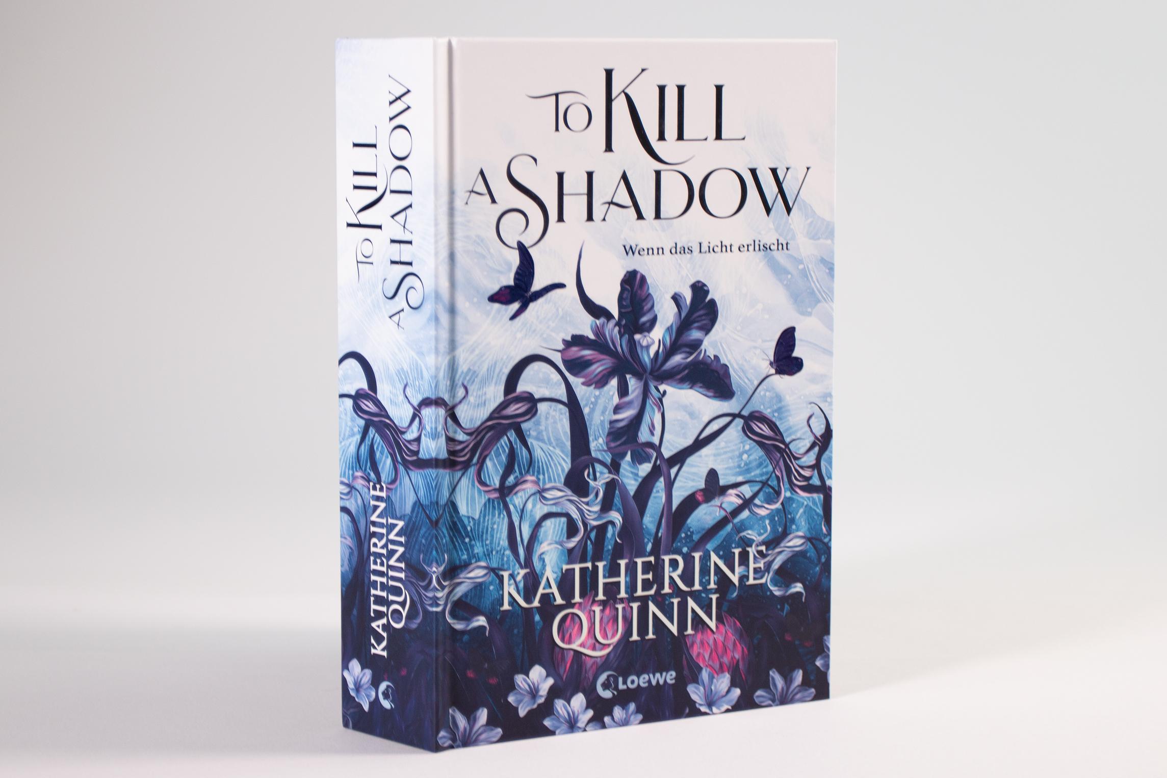 Beispielinhalt (Bild) To Kill A Shadow (Die verfluchten Lande, Band 1)