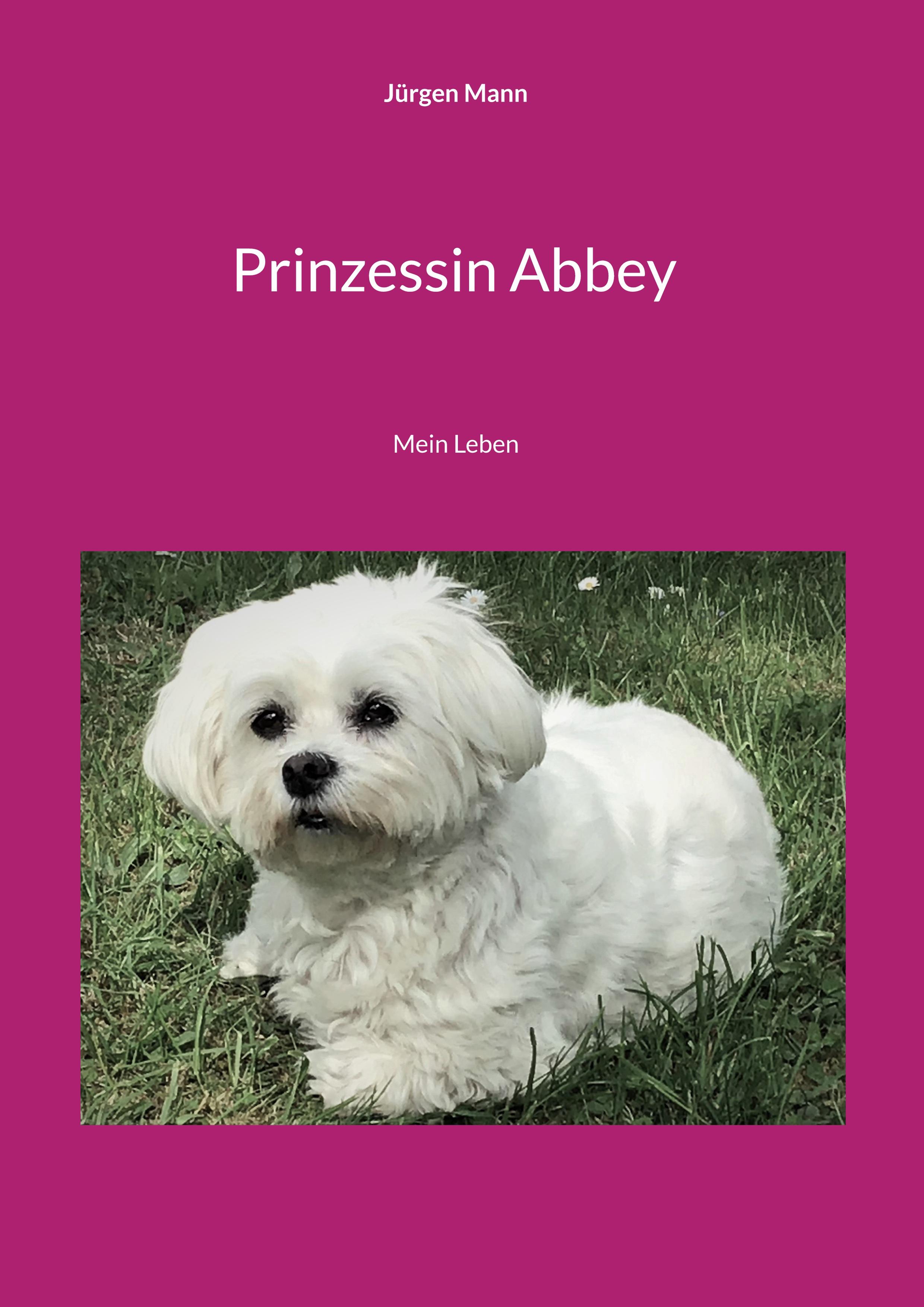 Vorderes Coverbild Prinzessin Abbey
