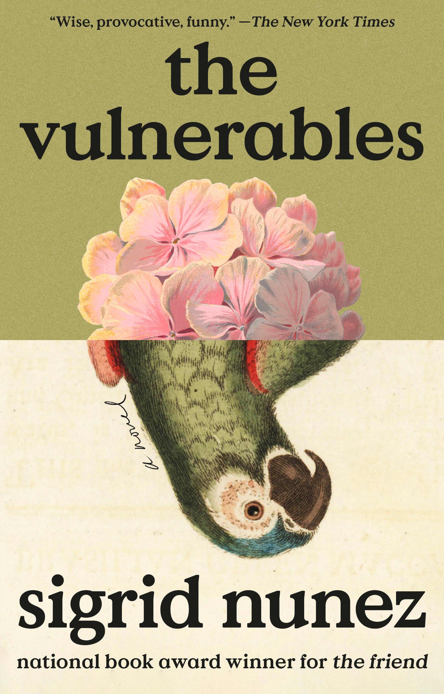 Vorderes Coverbild The Vulnerables