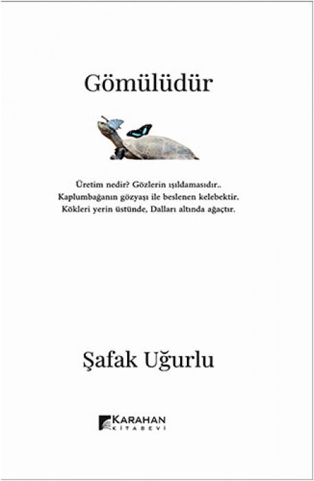 Vorderes Coverbild Gömülüdür