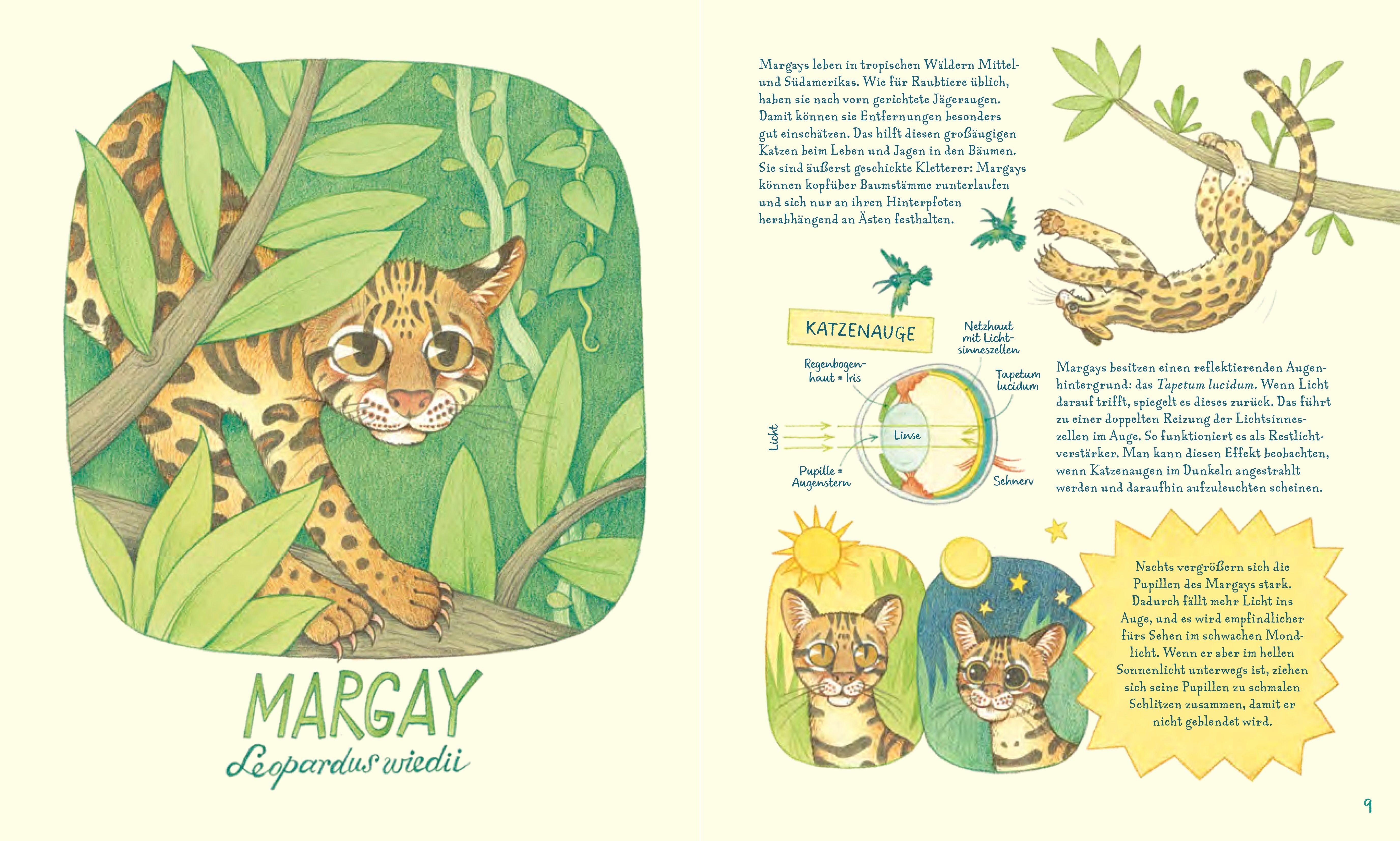 Beispielinhalt (Bild) Geniale Augen