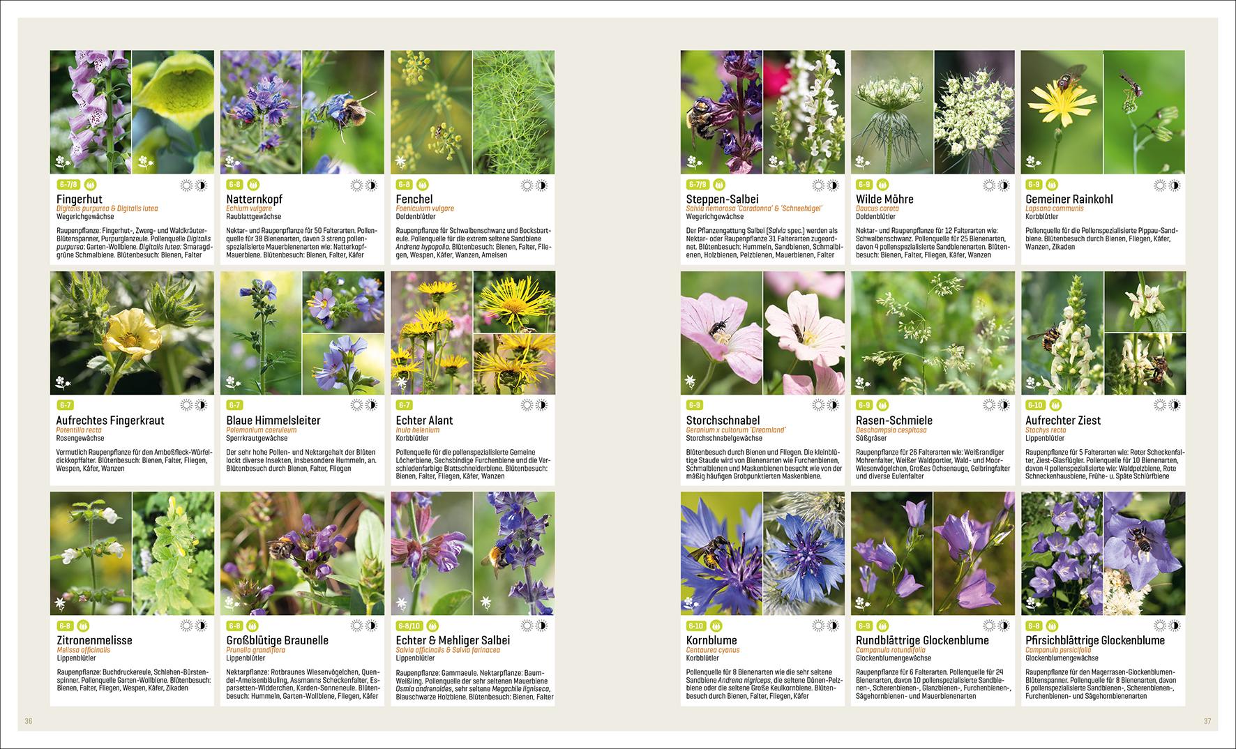 Beispielinhalt (Bild) Mein Artenretter Garten