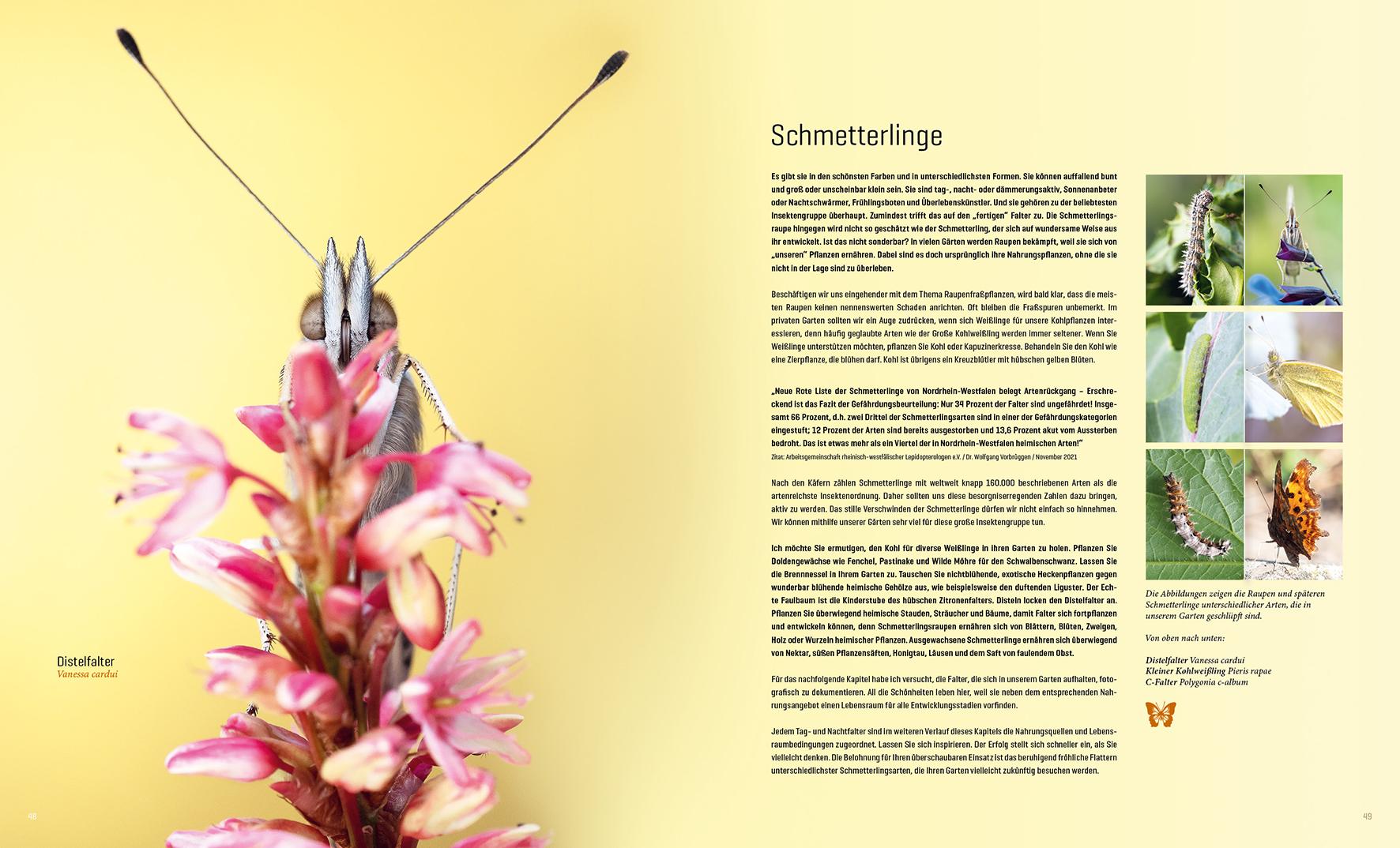 Beispielinhalt (Bild) Mein Artenretter Garten