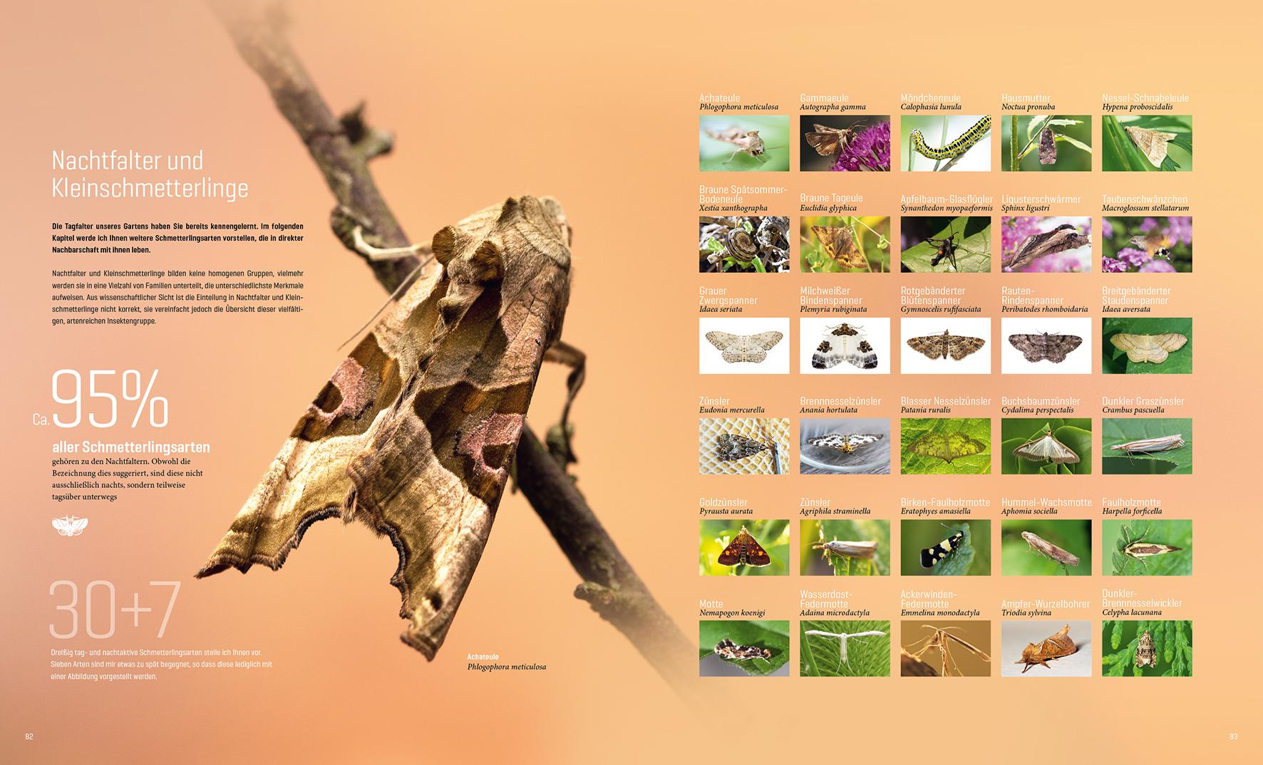 Beispielinhalt (Bild) Mein Artenretter Garten