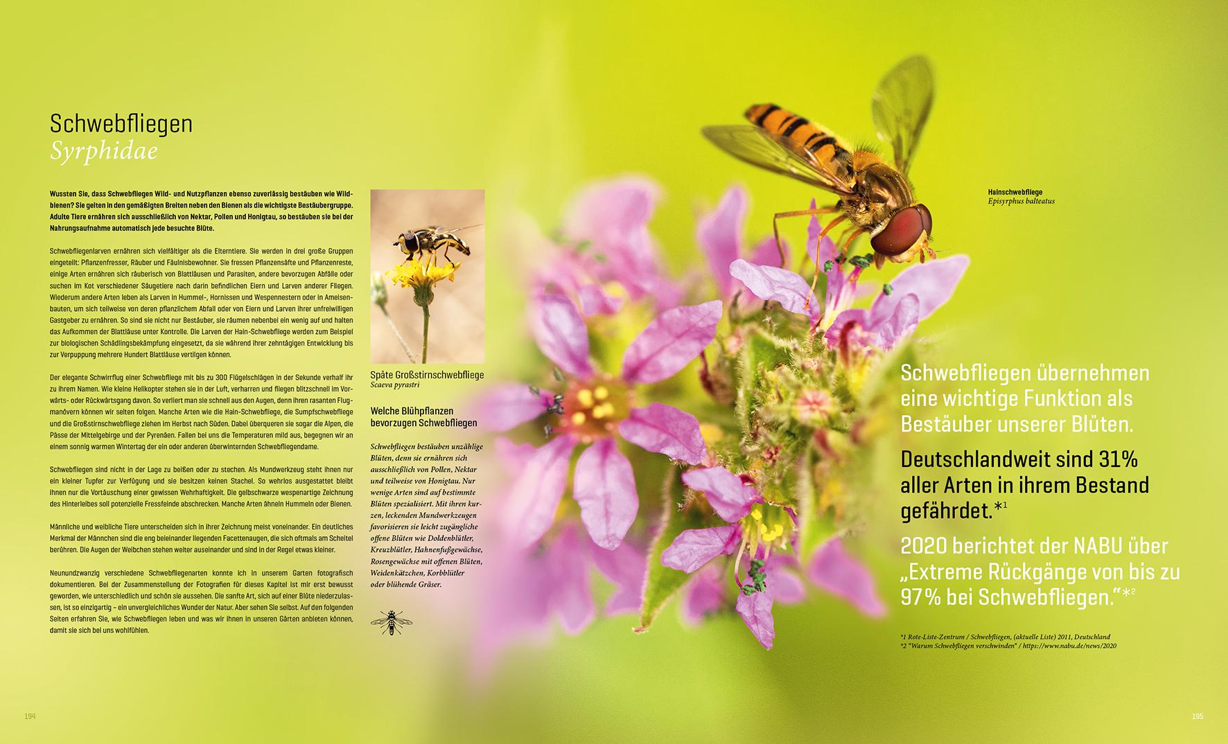 Beispielinhalt (Bild) Mein Artenretter Garten