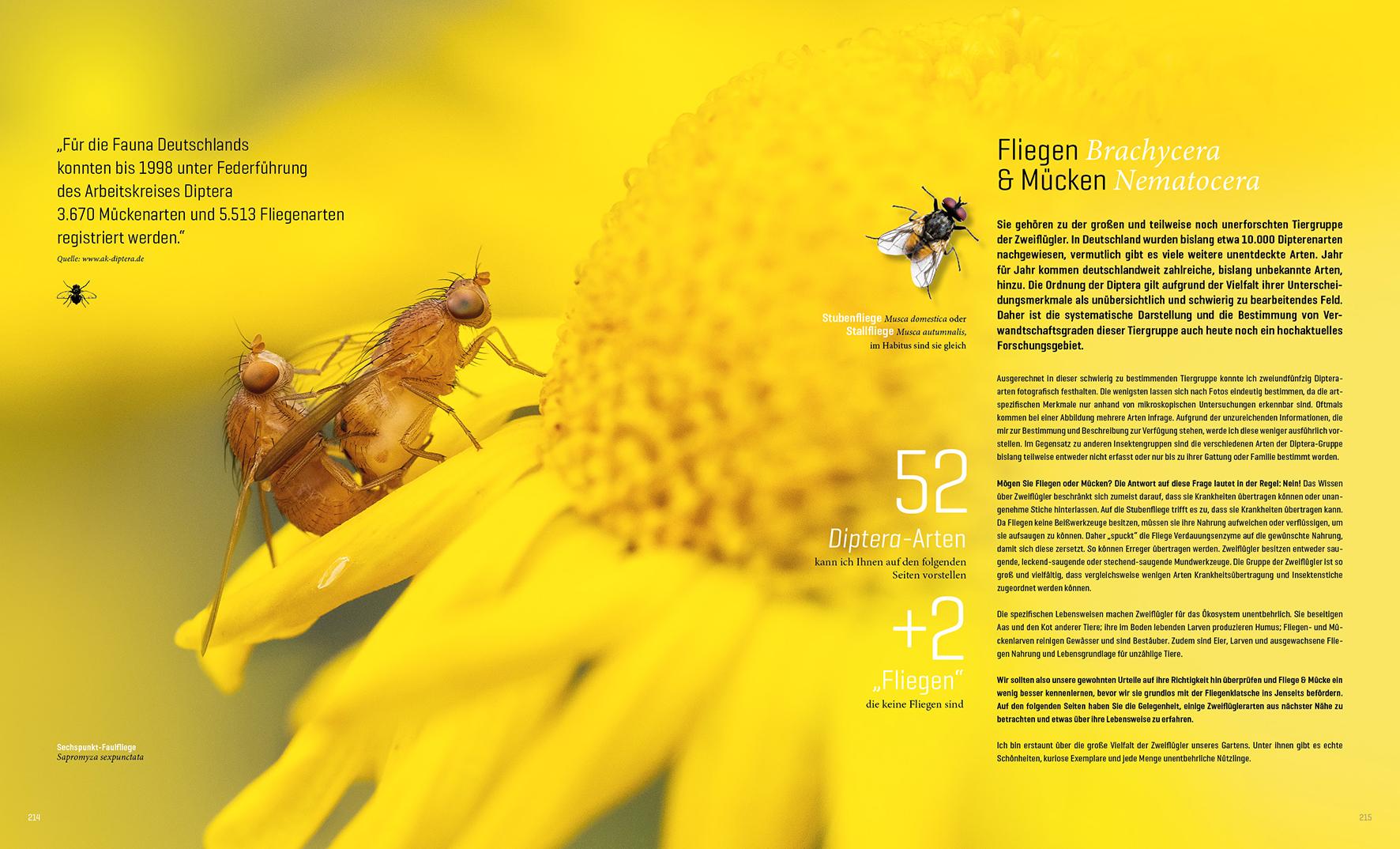 Beispielinhalt (Bild) Mein Artenretter Garten